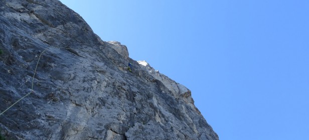 Fotografija: Tomo Česen